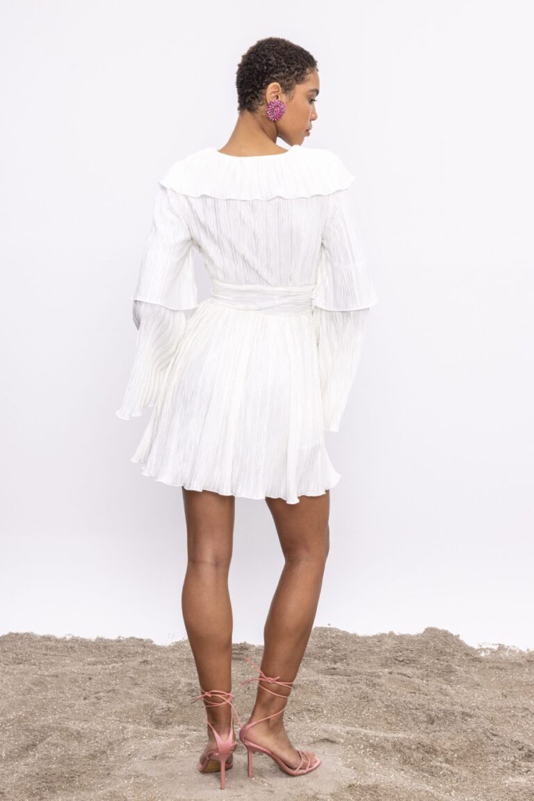 Be A Bee Dionne Pleated Dress