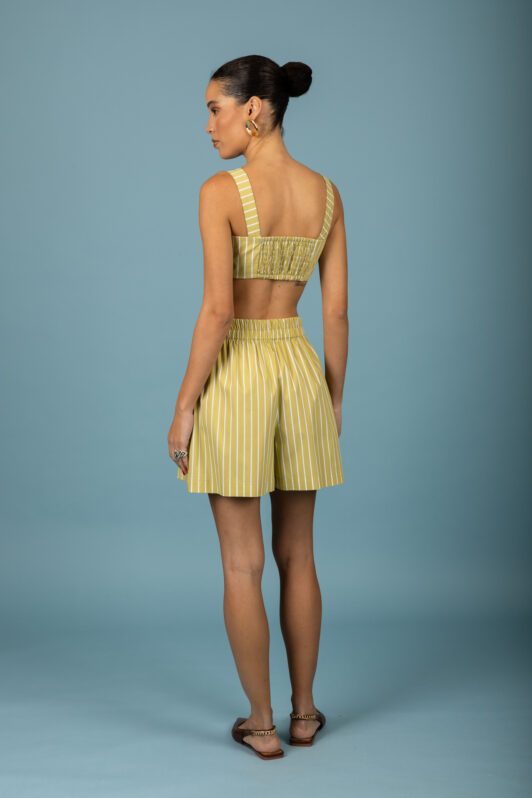 Benjamin Shorts (Lime)